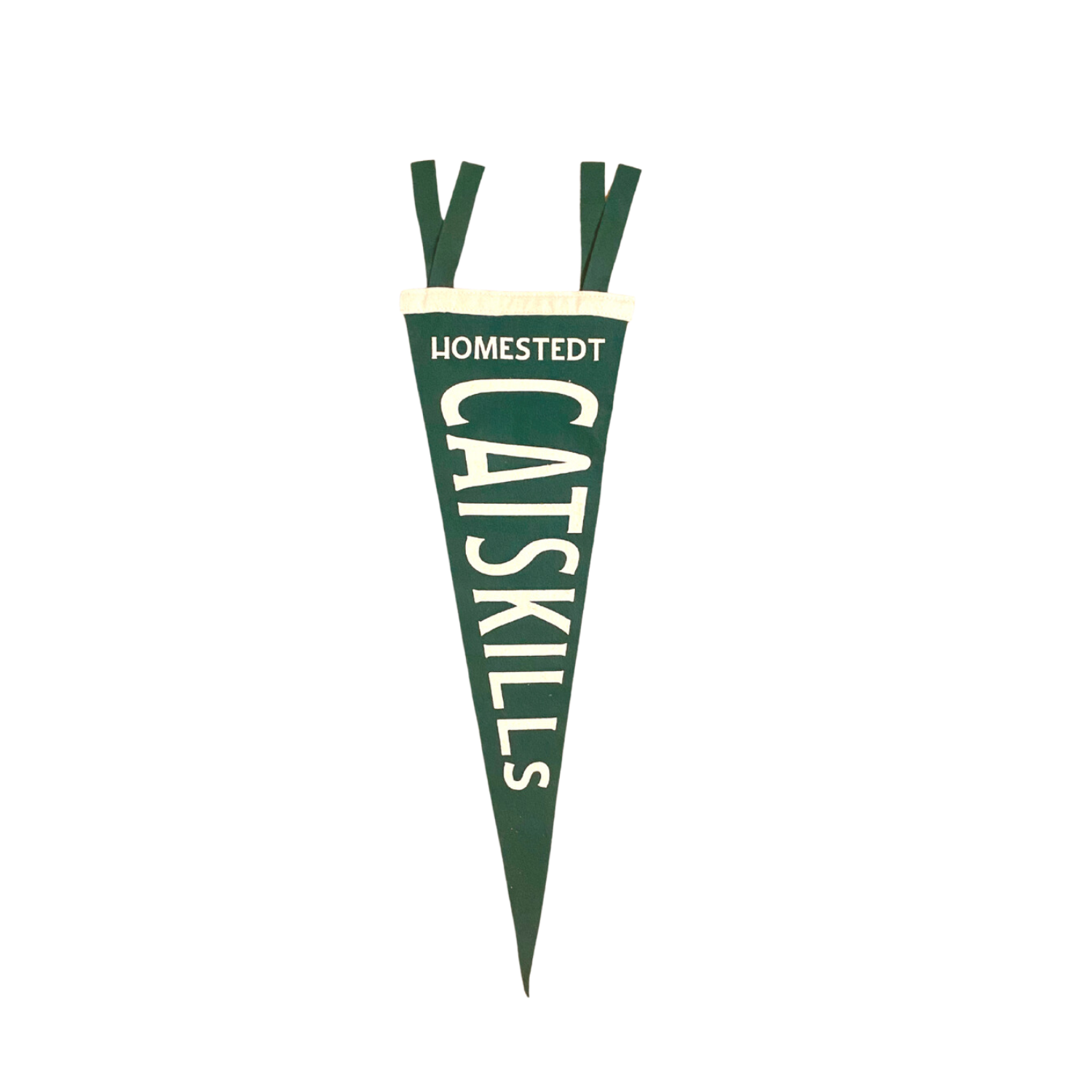 Catskills Camp Pennant
